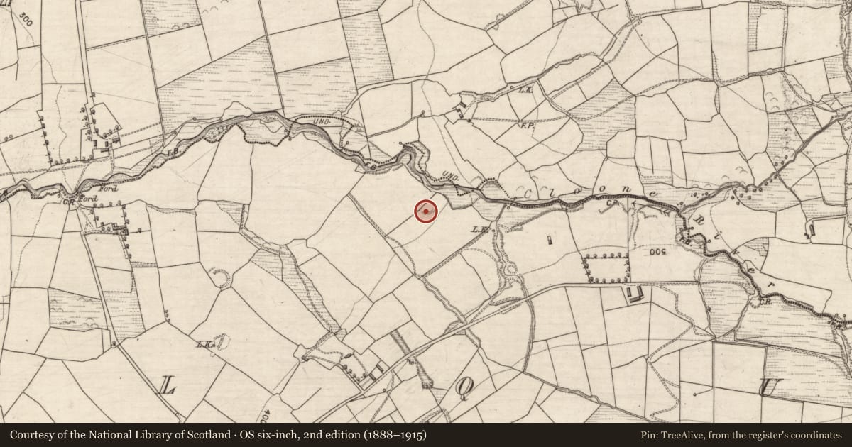 Ordnance Survey six-inch map, 2nd edition (1888–1915) covering the location of Enclosure, Kilquane, County Kerry, with a pin at the register's coordinates