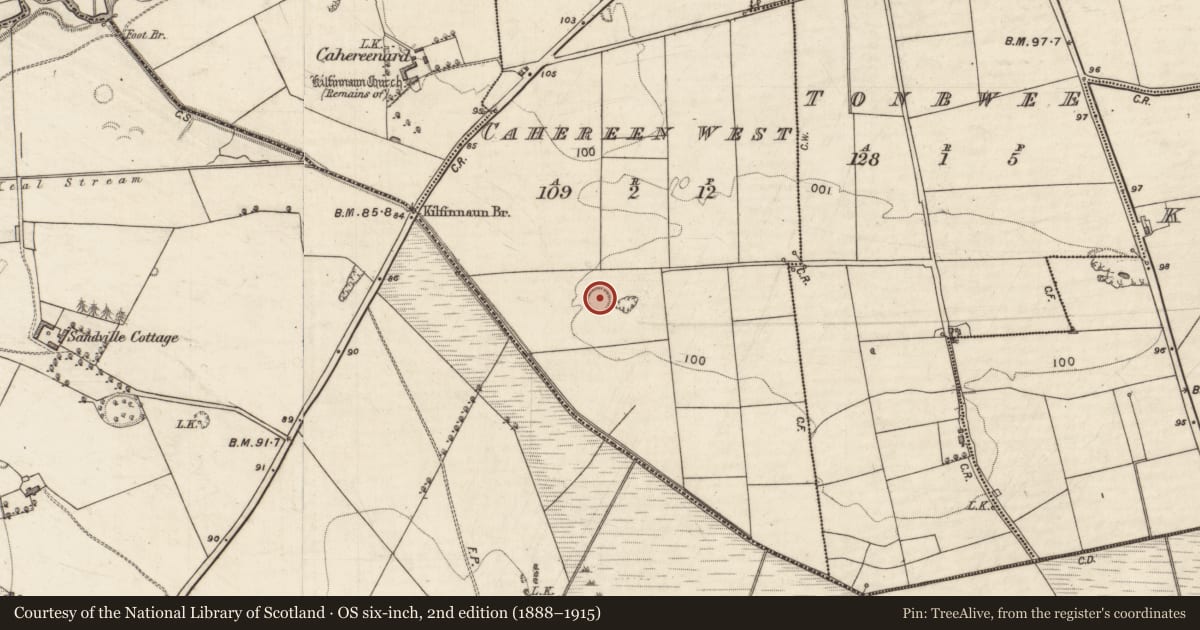 Ordnance Survey six-inch map, 2nd edition (1888–1915) covering the location of Enclosure, Cahereen West, County Kerry, with a pin at the register's coordinates