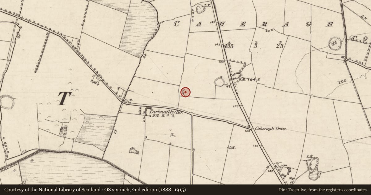 Ordnance Survey six-inch map, 2nd edition (1888–1915) covering the location of Enclosure, Caheragh, County Kerry, with a pin at the register's coordinates