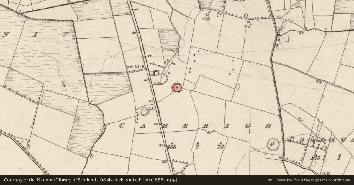 Ordnance Survey six-inch map, 2nd edition (1888–1915) covering the location of Ringfort - rath, Caheragh, County Kerry, with a pin at the register's coordinates