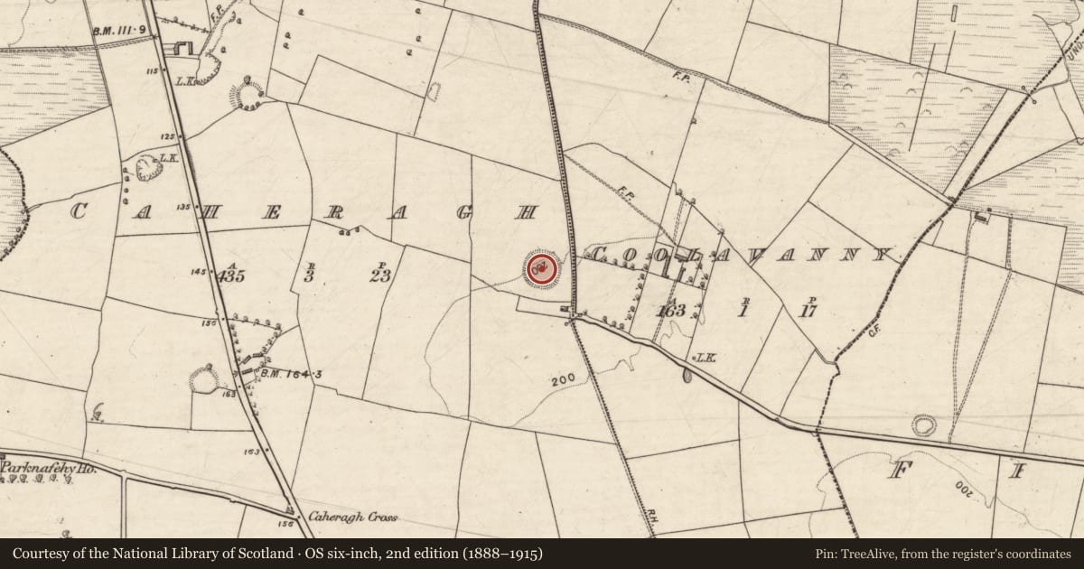 Ordnance Survey six-inch map, 2nd edition (1888–1915) covering the location of Ringfort - rath, Caheragh, County Kerry, with a pin at the register's coordinates
