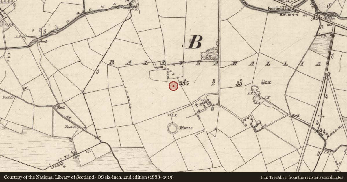 Ordnance Survey six-inch map, 2nd edition (1888–1915) covering the location of Fulacht fia, Ballynahallia, County Kerry, with a pin at the register's coordinates