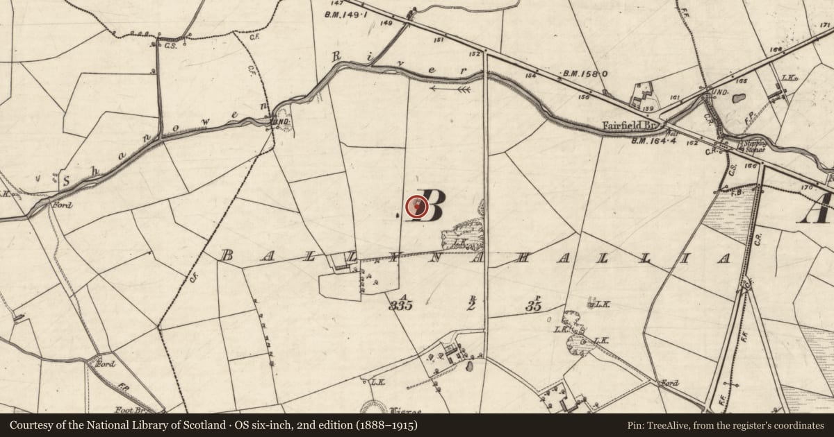 Ordnance Survey six-inch map, 2nd edition (1888–1915) covering the location of Enclosure, Ballynahallia, County Kerry, with a pin at the register's coordinates