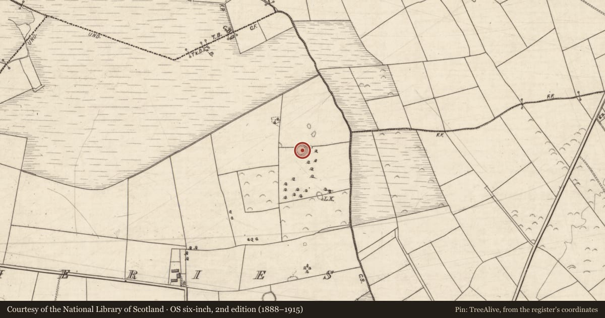 Ordnance Survey six-inch map, 2nd edition (1888–1915) covering the location of Ringfort - rath, Fieries, County Kerry, with a pin at the register's coordinates