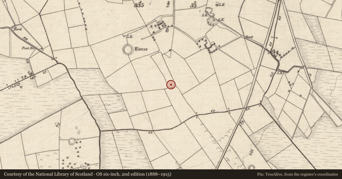Ordnance Survey six-inch map, 2nd edition (1888–1915) covering the location of Fulacht fia, Ballynahallia, County Kerry, with a pin at the register's coordinates