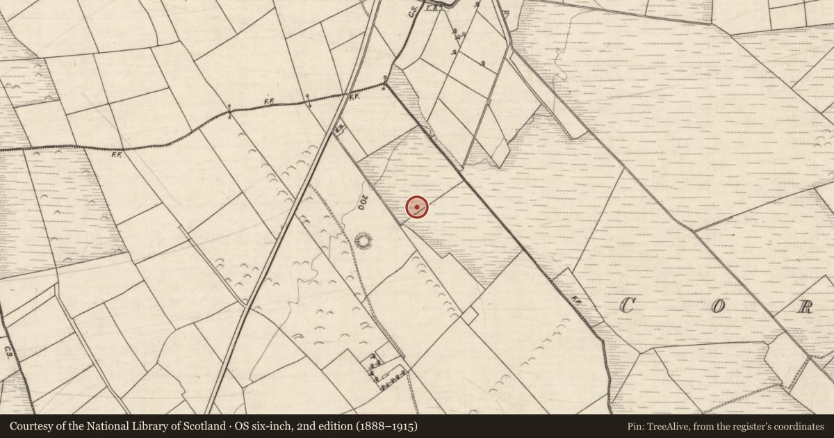 Ordnance Survey six-inch map, 2nd edition (1888–1915) covering the location of Burnt spread, Breahig, County Kerry, with a pin at the register's coordinates