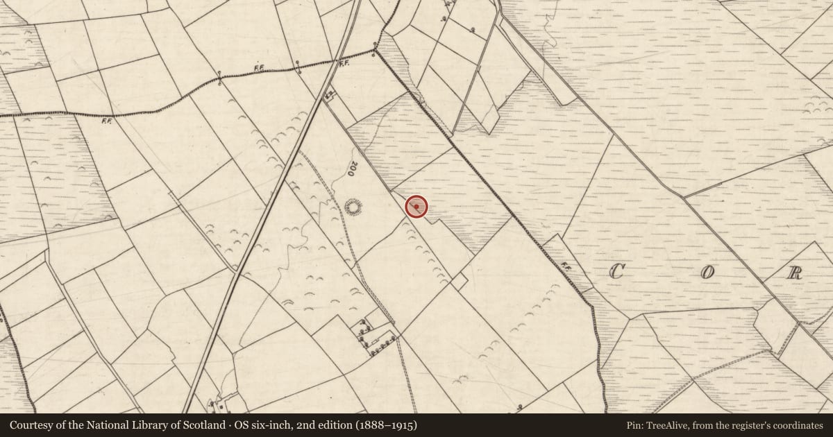 Ordnance Survey six-inch map, 2nd edition (1888–1915) covering the location of Fulacht fia, Breahig, County Kerry, with a pin at the register's coordinates