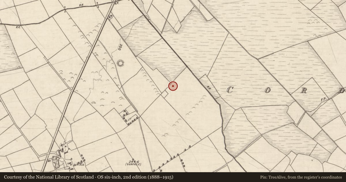 Ordnance Survey six-inch map, 2nd edition (1888–1915) covering the location of Burnt spread, Breahig, County Kerry, with a pin at the register's coordinates