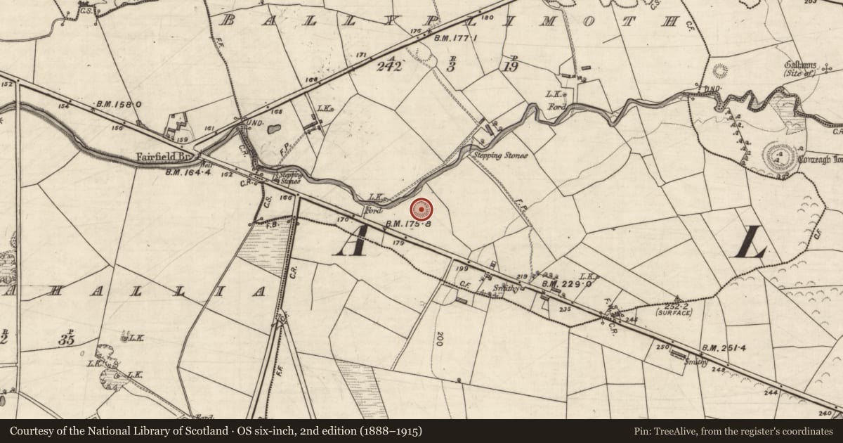 Ordnance Survey six-inch map, 2nd edition (1888–1915) covering the location of Ringfort - rath, Ballyplimoth, County Kerry, with a pin at the register's coordinates