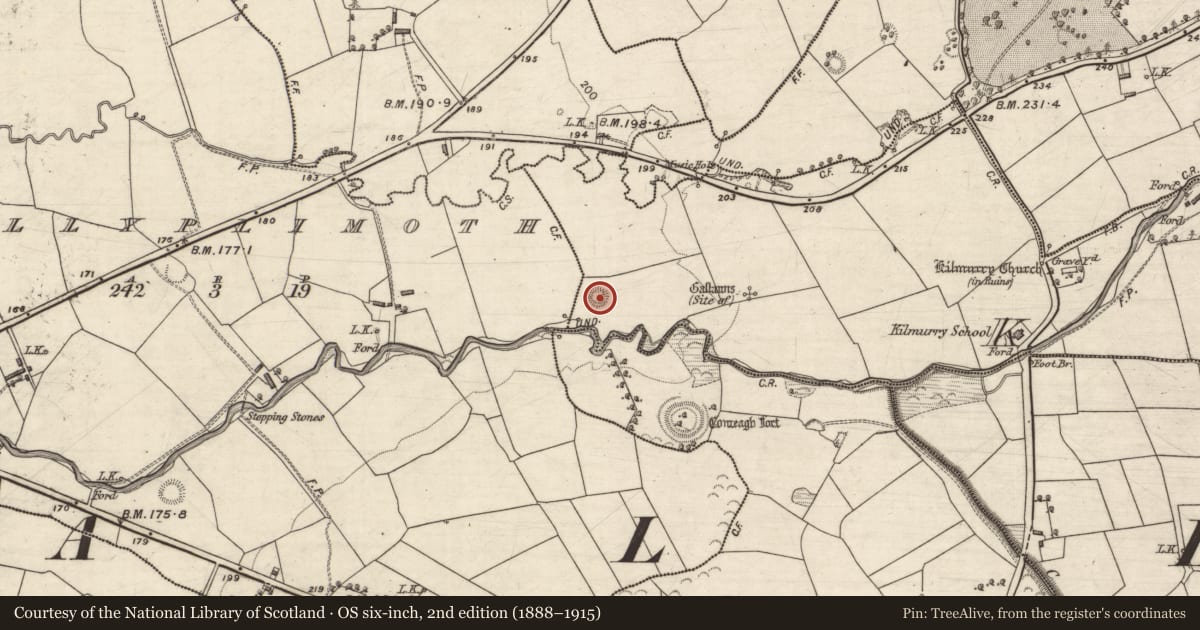 Ordnance Survey six-inch map, 2nd edition (1888–1915) covering the location of Ringfort - rath, Kilquane, County Kerry, with a pin at the register's coordinates