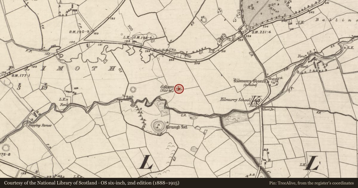 Ordnance Survey six-inch map, 2nd edition (1888–1915) covering the location of Standing stone, Kilquane, County Kerry, with a pin at the register's coordinates