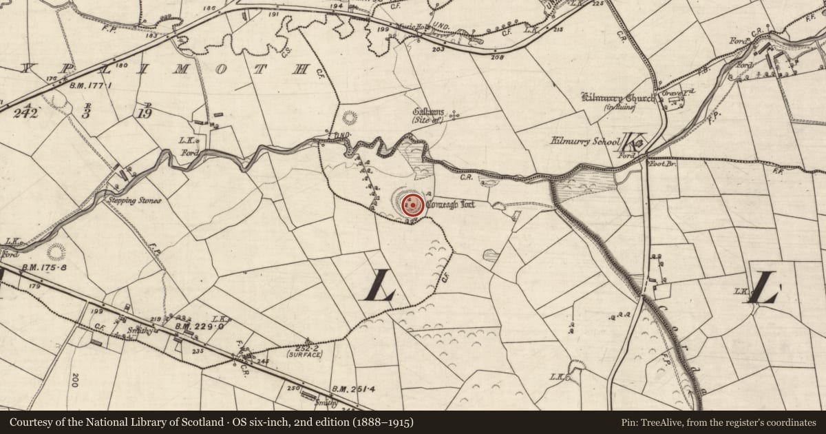 Ordnance Survey six-inch map, 2nd edition (1888–1915) covering the location of Ringfort - rath, Cordal West, County Kerry, with a pin at the register's coordinates