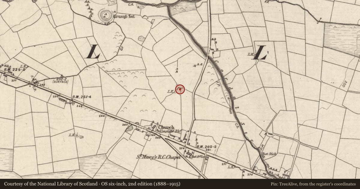 Ordnance Survey six-inch map, 2nd edition (1888–1915) covering the location of Enclosure, Cordal West, County Kerry, with a pin at the register's coordinates