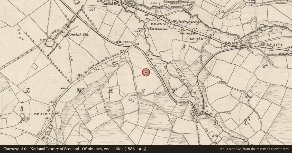 Ordnance Survey six-inch map, 2nd edition (1888–1915) covering the location of Ringfort - rath, Cordal West, County Kerry, with a pin at the register's coordinates
