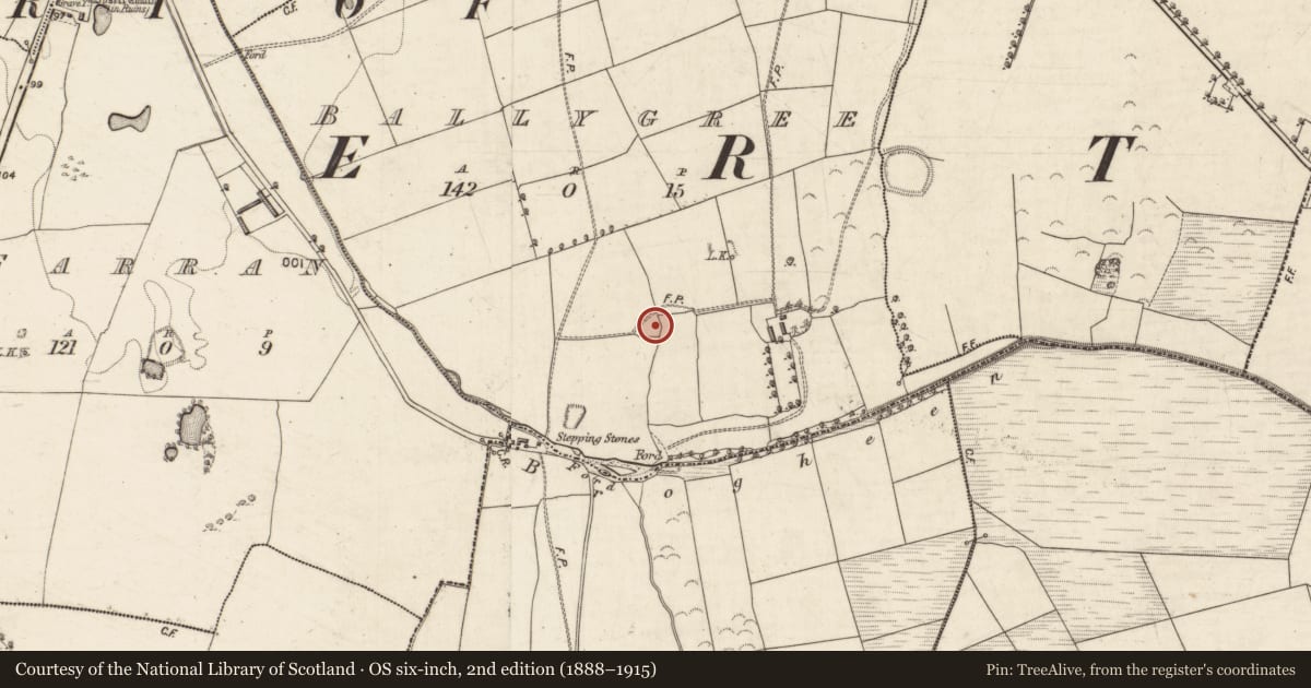 Ordnance Survey six-inch map, 2nd edition (1888–1915) covering the location of Ringfort - rath, Ballygree, County Kerry, with a pin at the register's coordinates
