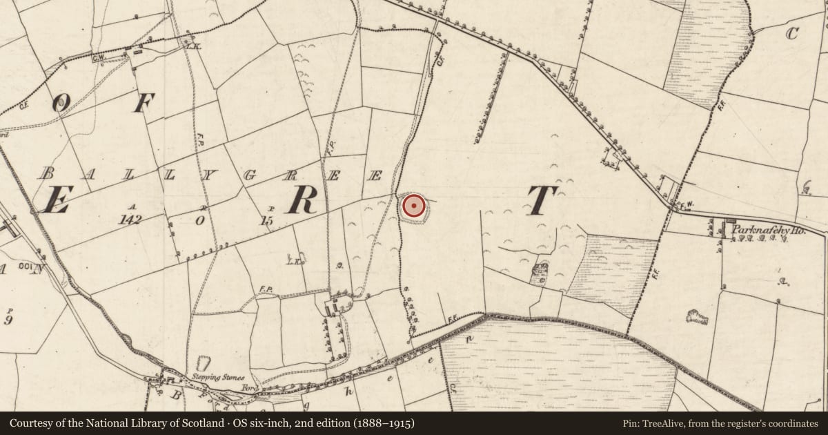 Ordnance Survey six-inch map, 2nd edition (1888–1915) covering the location of Ringfort - rath, Ballygree, Clashganniv, County Kerry, with a pin at the register's coordinates