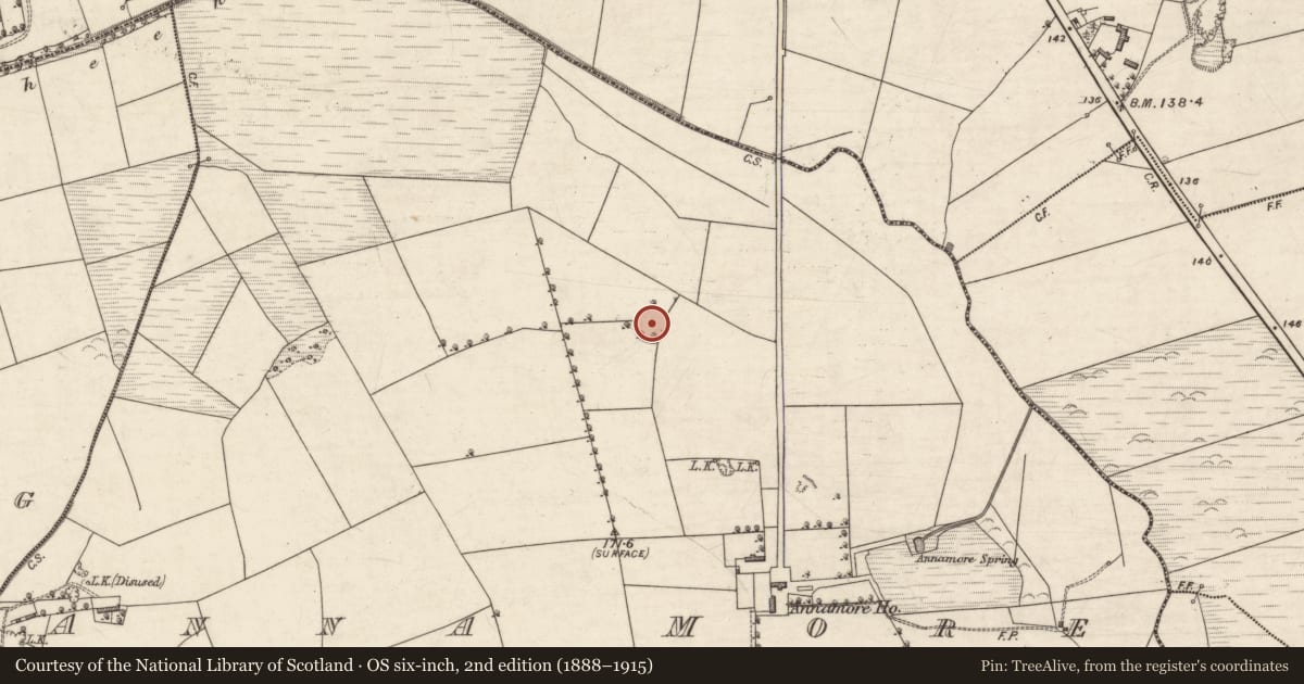 Ordnance Survey six-inch map, 2nd edition (1888–1915) covering the location of Ringfort - rath, Anna More, County Kerry, with a pin at the register's coordinates