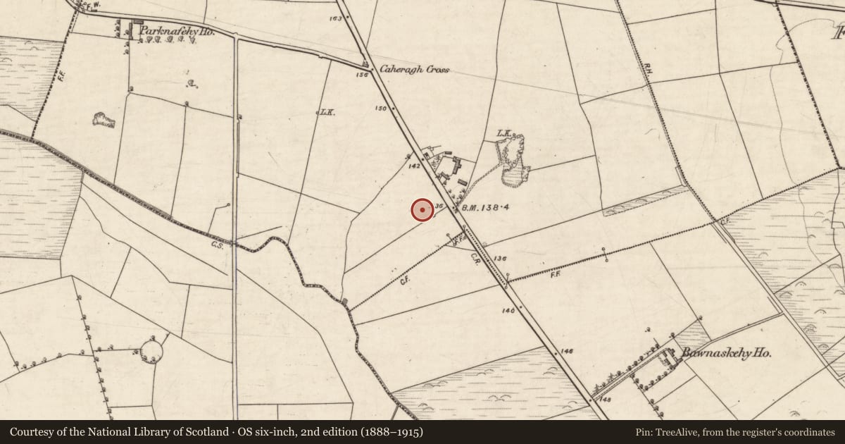 Ordnance Survey six-inch map, 2nd edition (1888–1915) covering the location of Fulacht fia, Caheragh, County Kerry, with a pin at the register's coordinates