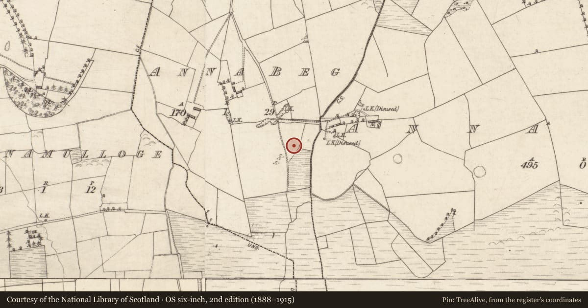 Ordnance Survey six-inch map, 2nd edition (1888–1915) covering the location of Enclosure, Anna Beg, County Kerry, with a pin at the register's coordinates