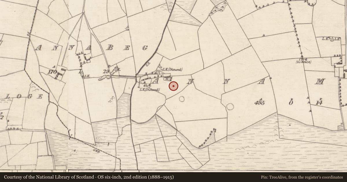 Ordnance Survey six-inch map, 2nd edition (1888–1915) covering the location of Enclosure, Anna More, County Kerry, with a pin at the register's coordinates