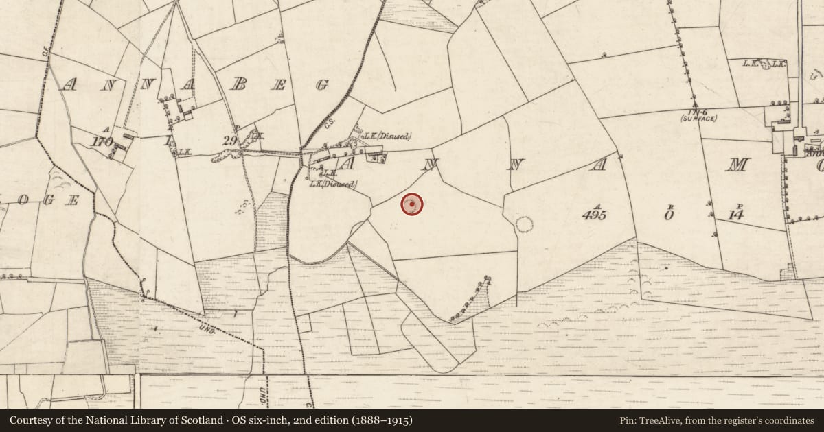 Ordnance Survey six-inch map, 2nd edition (1888–1915) covering the location of Ringfort - rath, Anna More, County Kerry, with a pin at the register's coordinates