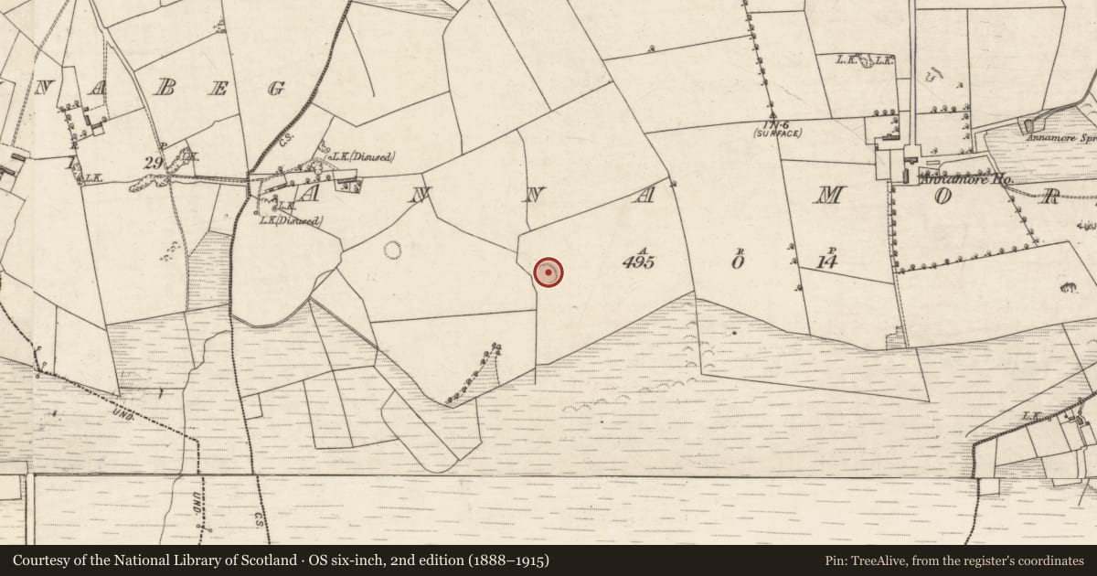 Ordnance Survey six-inch map, 2nd edition (1888–1915) covering the location of Ringfort - rath, Anna More, County Kerry, with a pin at the register's coordinates