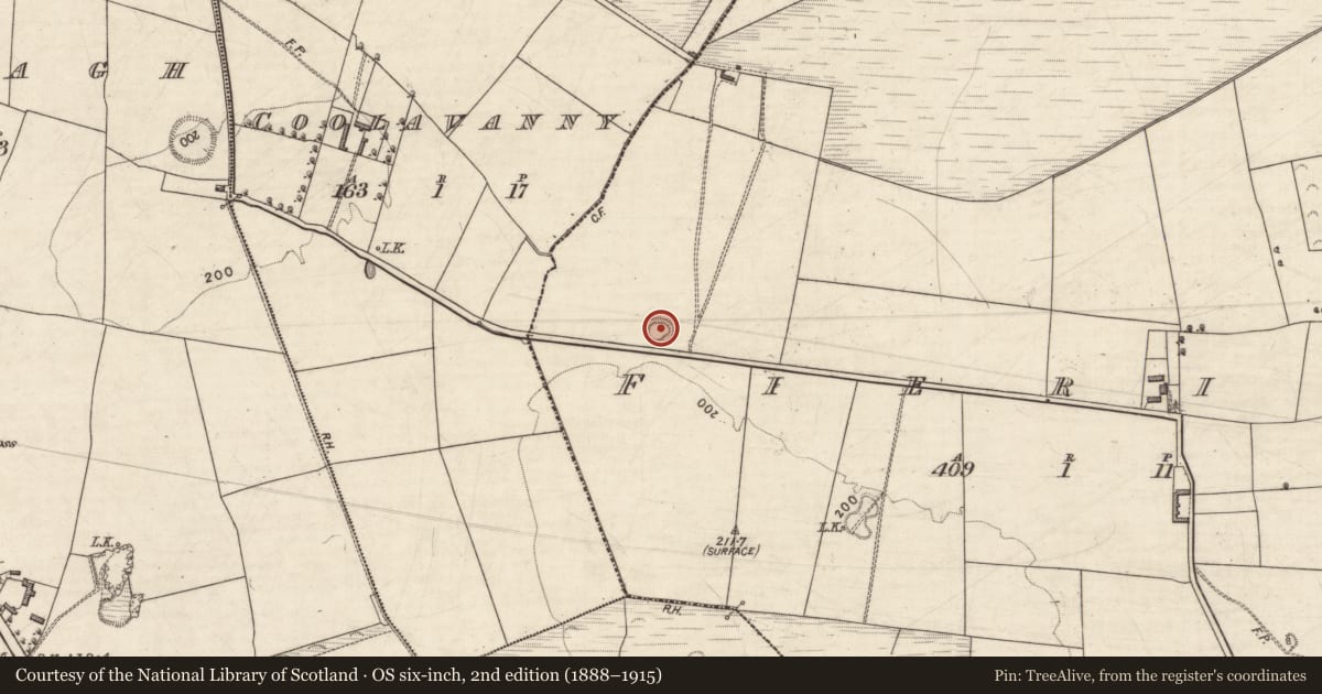 Ordnance Survey six-inch map, 2nd edition (1888–1915) covering the location of Ringfort - rath, Fieries, County Kerry, with a pin at the register's coordinates