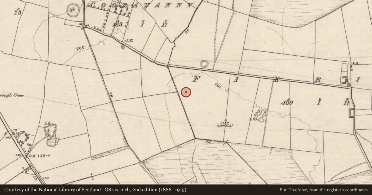 Ordnance Survey six-inch map, 2nd edition (1888–1915) covering the location of Fulacht fia, Fieries, County Kerry, with a pin at the register's coordinates