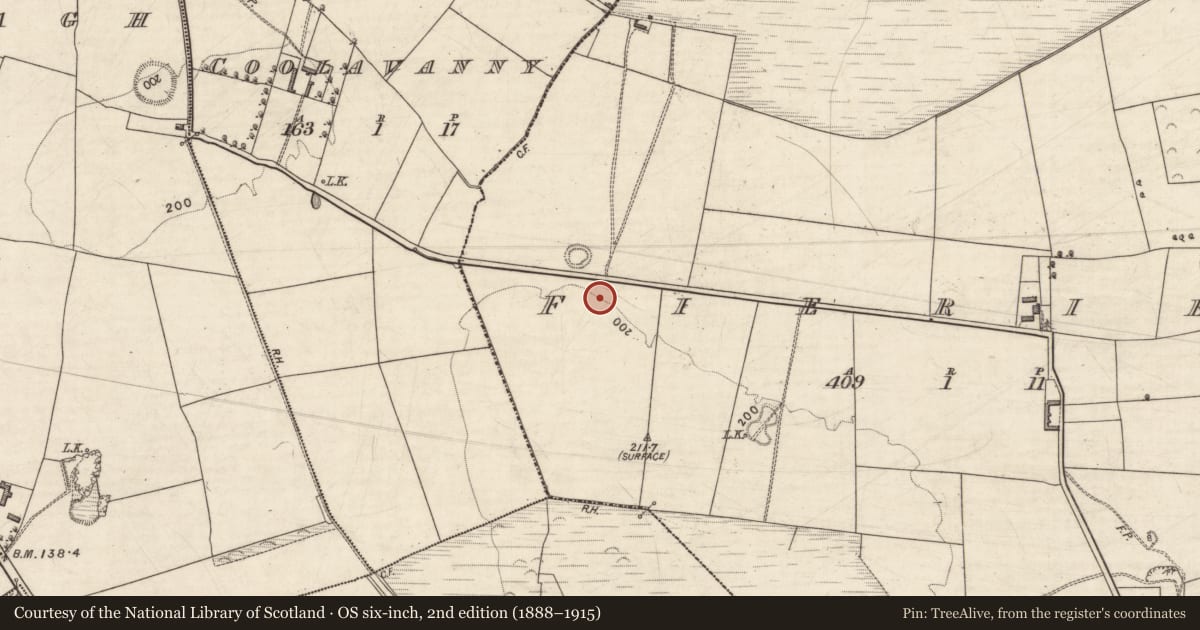 Ordnance Survey six-inch map, 2nd edition (1888–1915) covering the location of Burnt spread, Fieries, County Kerry, with a pin at the register's coordinates