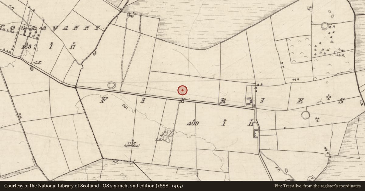 Ordnance Survey six-inch map, 2nd edition (1888–1915) covering the location of Fulacht fia, Fieries, County Kerry, with a pin at the register's coordinates