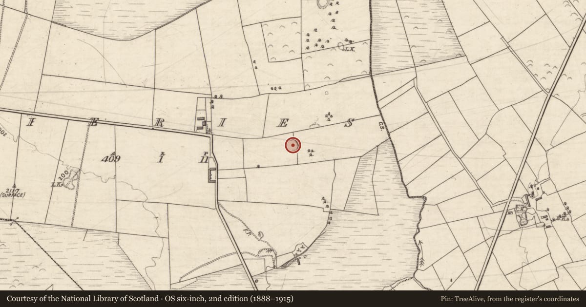 Ordnance Survey six-inch map, 2nd edition (1888–1915) covering the location of Ringfort - rath, Fieries, County Kerry, with a pin at the register's coordinates