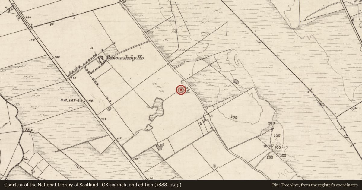 Ordnance Survey six-inch map, 2nd edition (1888–1915) covering the location of Enclosure, Bawnaskehy, County Kerry, with a pin at the register's coordinates