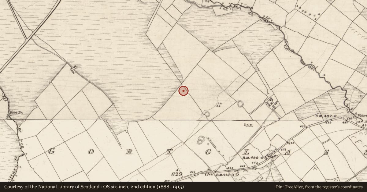Ordnance Survey six-inch map, 2nd edition (1888–1915) covering the location of Burnt spread, Gortglass, County Kerry, with a pin at the register's coordinates