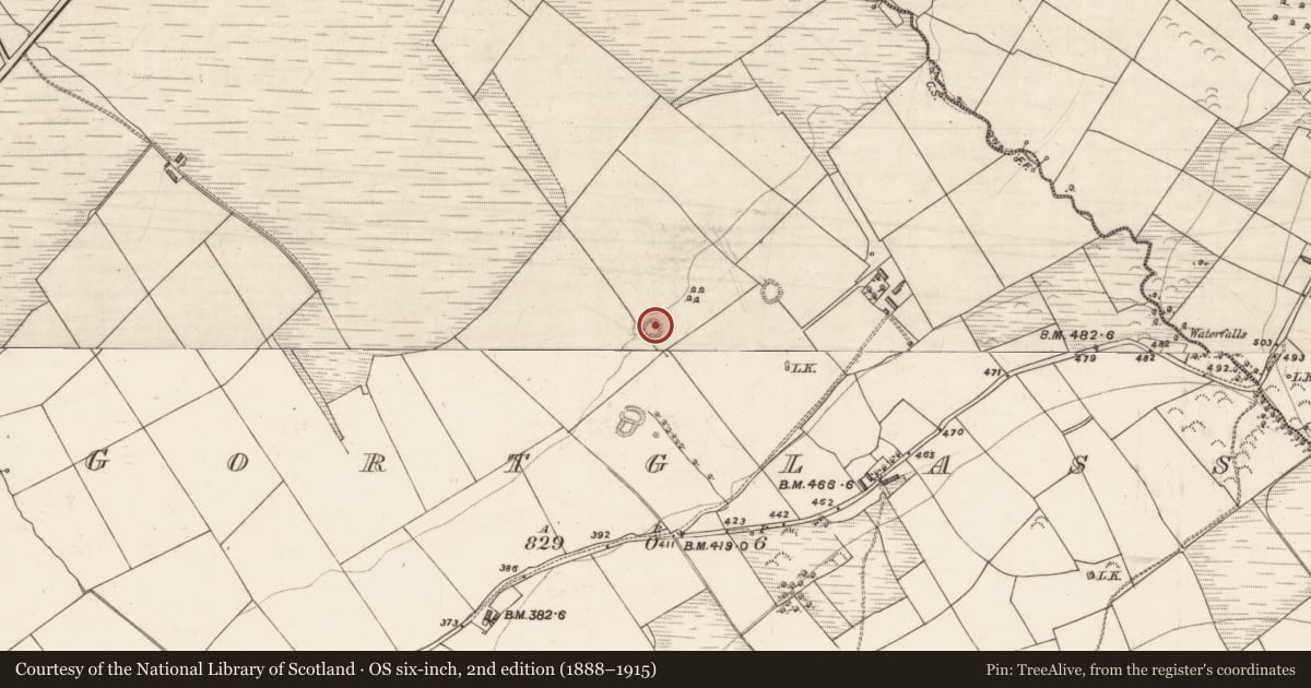 Ordnance Survey six-inch map, 2nd edition (1888–1915) covering the location of Ringfort - rath, Gortglass, County Kerry, with a pin at the register's coordinates