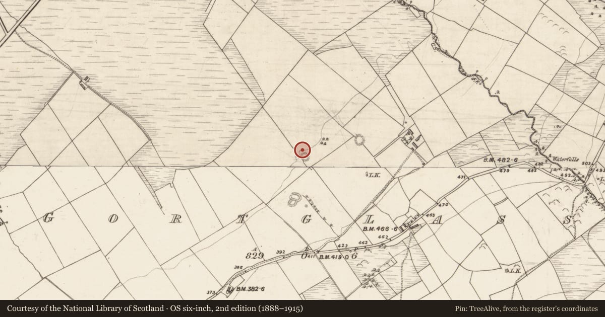 Ordnance Survey six-inch map, 2nd edition (1888–1915) covering the location of Burnt spread, Gortglass, County Kerry, with a pin at the register's coordinates