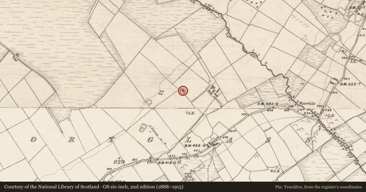 Ordnance Survey six-inch map, 2nd edition (1888–1915) covering the location of Ringfort - rath, Gortglass, County Kerry, with a pin at the register's coordinates