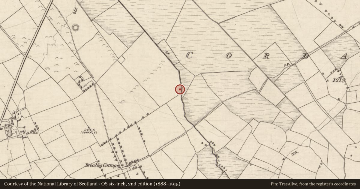 Ordnance Survey six-inch map, 2nd edition (1888–1915) covering the location of Fulacht fia, Breahig, County Kerry, with a pin at the register's coordinates