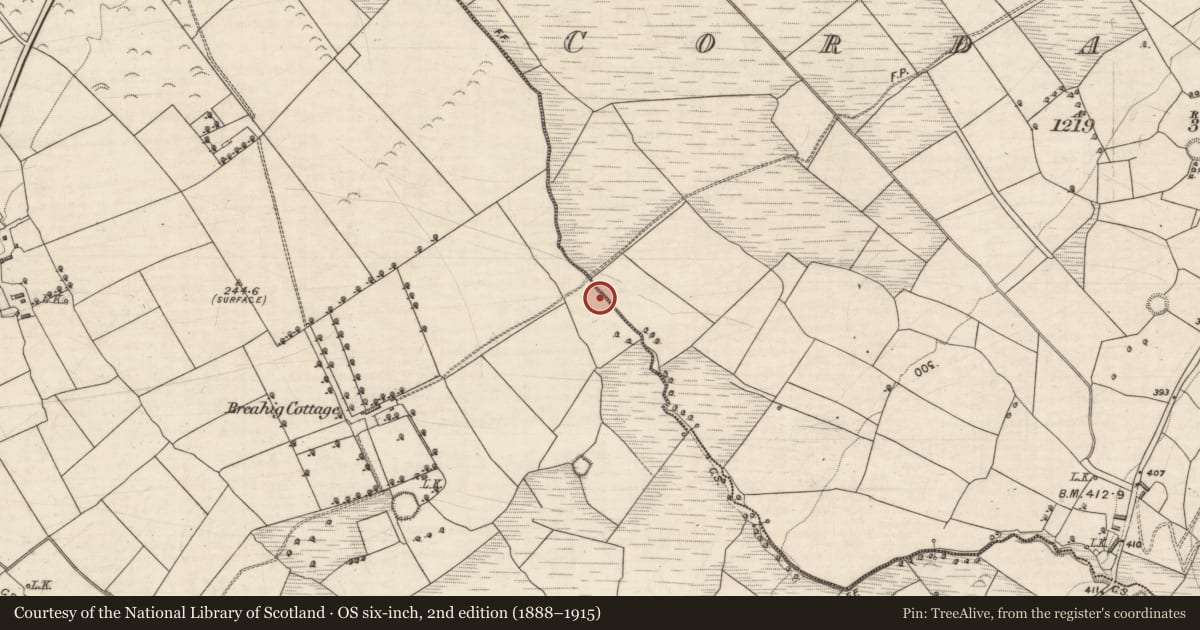 Ordnance Survey six-inch map, 2nd edition (1888–1915) covering the location of Fulacht fia, Breahig, County Kerry, with a pin at the register's coordinates