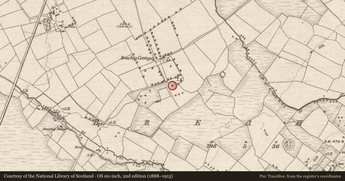 Ordnance Survey six-inch map, 2nd edition (1888–1915) covering the location of Ringfort - rath, Breahig, County Kerry, with a pin at the register's coordinates