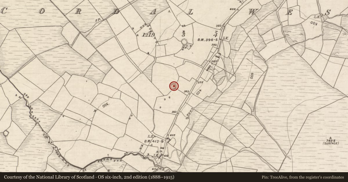 Ordnance Survey six-inch map, 2nd edition (1888–1915) covering the location of Ringfort - rath, Cordal West, County Kerry, with a pin at the register's coordinates