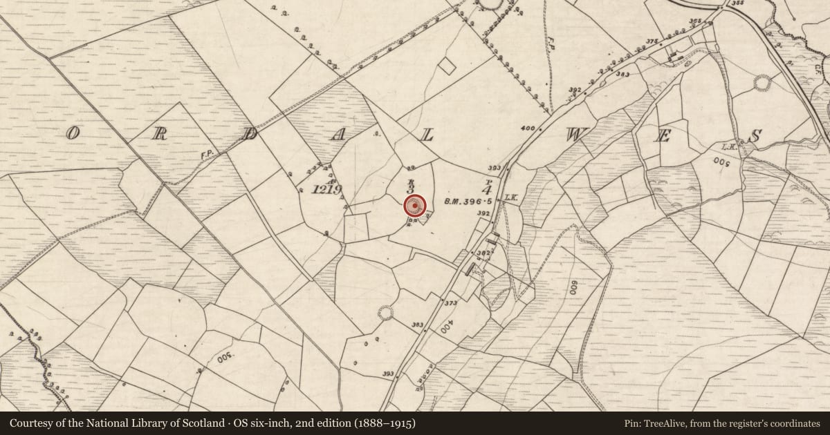 Ordnance Survey six-inch map, 2nd edition (1888–1915) covering the location of Ringfort - rath, Cordal West, County Kerry, with a pin at the register's coordinates