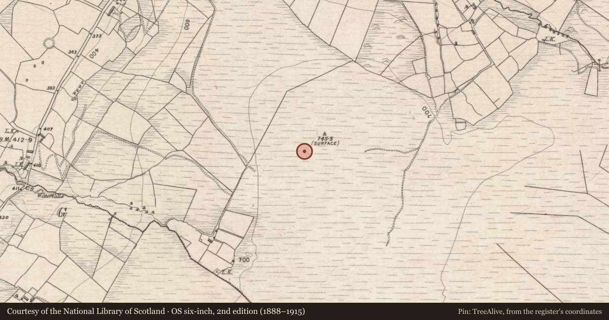 Ordnance Survey six-inch map, 2nd edition (1888–1915) covering the location of Standing stone, Cordal West, County Kerry, with a pin at the register's coordinates