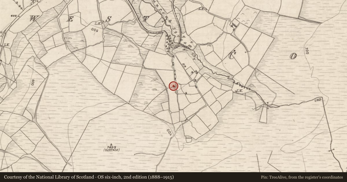 Ordnance Survey six-inch map, 2nd edition (1888–1915) covering the location of Fulacht fia, Cordal West, County Kerry, with a pin at the register's coordinates