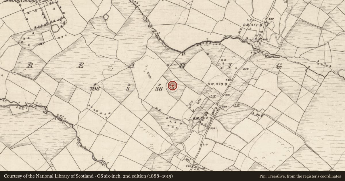 Ordnance Survey six-inch map, 2nd edition (1888–1915) covering the location of Ringfort - rath, Breahig, County Kerry, with a pin at the register's coordinates