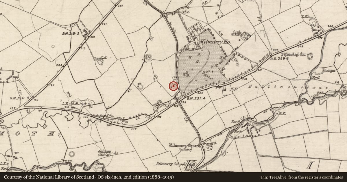 Ordnance Survey six-inch map, 2nd edition (1888–1915) covering the location of Cave, Kilmurry, County Kerry, with a pin at the register's coordinates