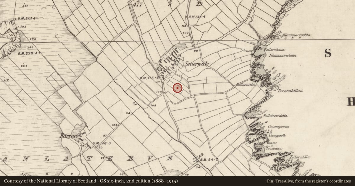Ordnance Survey six-inch map, 2nd edition (1888–1915) covering the location of Clochan, Ard Na Caithne, County Kerry, with a pin at the register's coordinates