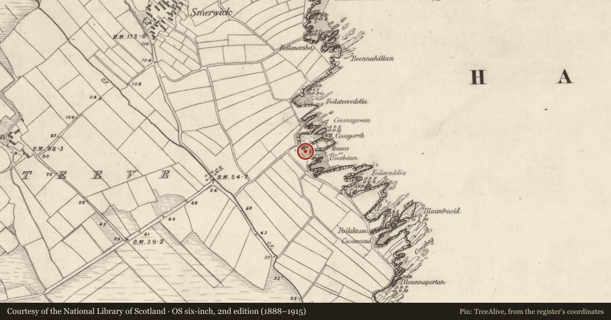 Ordnance Survey six-inch map, 2nd edition (1888–1915) covering the location of Bastioned fort, Ard Na Caithne, County Kerry, with a pin at the register's coordinates