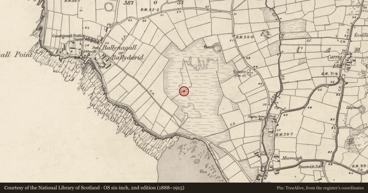 Ordnance Survey six-inch map, 2nd edition (1888–1915) covering the location of Clochan, An Mhuiríoch (TC Cill Maoilchéadar), County Kerry, with a pin at the register's coordinates