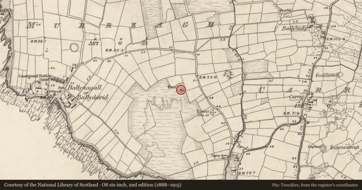 Ordnance Survey six-inch map, 2nd edition (1888–1915) covering the location of Ringfort - rath, An Mhuiríoch (TC Cill Maoilchéadar), County Kerry, with a pin at the register's coordinates