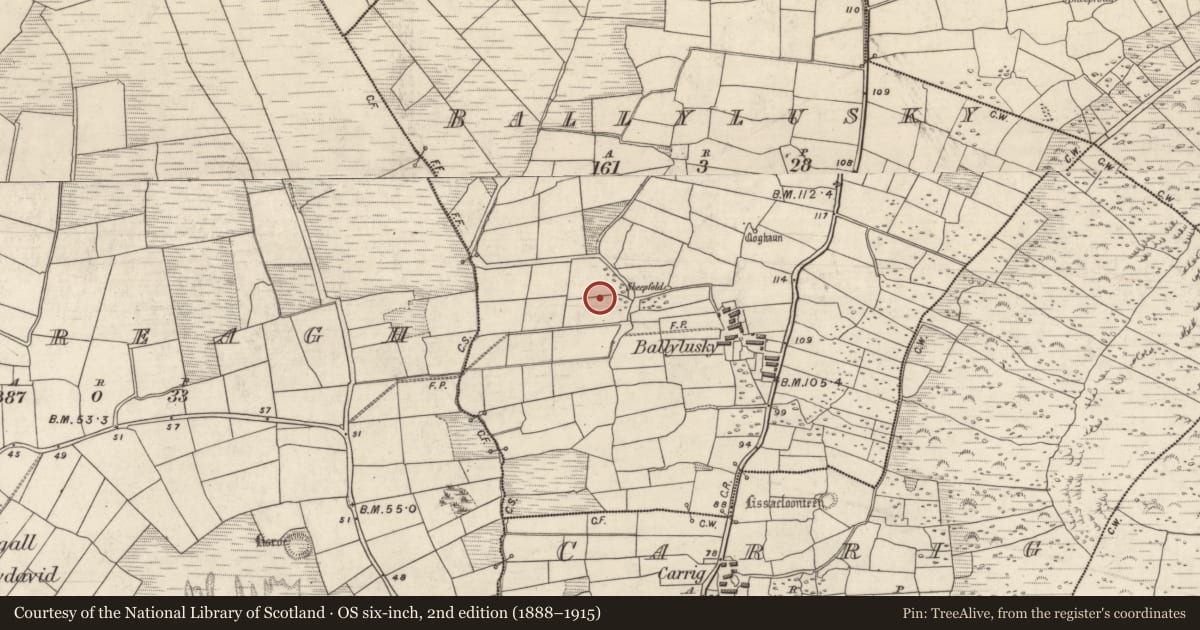 Ordnance Survey six-inch map, 2nd edition (1888–1915) covering the location of Mound, An Baile Loiscthe, County Kerry, with a pin at the register's coordinates